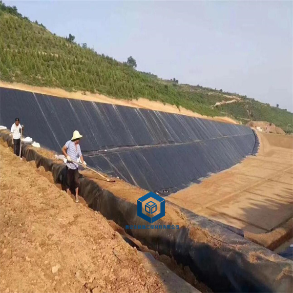 防渗土工膜在奶牛场污水池中的应用及其优势