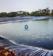 鱼塘土工膜的作用