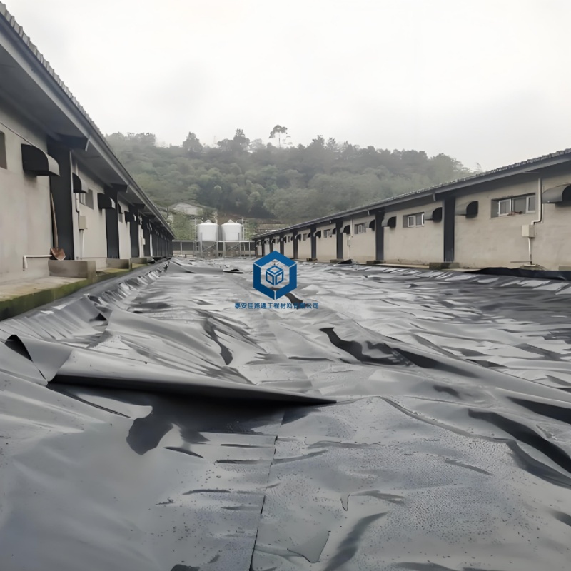 防水土工膜 HDPE 防渗膜 养殖池尾矿库工程防渗材料